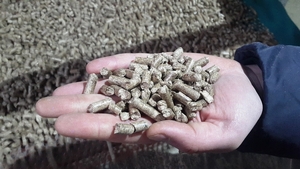 Продам пеллеты грн.1