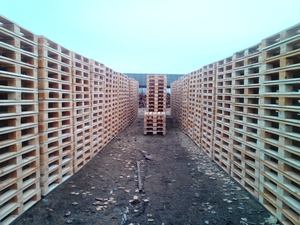 Європіддони усилені 120х80 грн.120