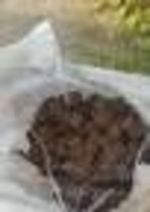 Окатыши из лигнина гидролизного грн.1200