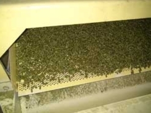 Продам гранулу из люцерны. грн.7500