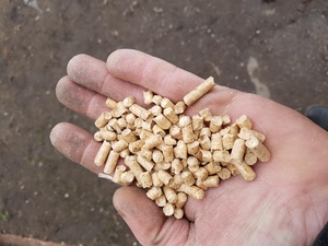 Продам деревні гранули з сосни, А1, 6 мм, від виробника