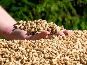 Древесные пеллеты закупим грн.1