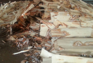 Продам тырсу, отходы производства шпона грн.70