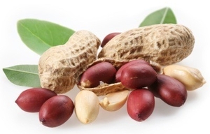 Арахис из Чили оптом грн.3