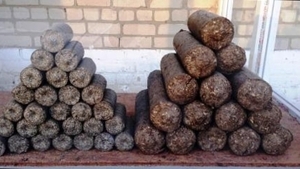 Брикет топливный из лузги подсолнечника грн.2600