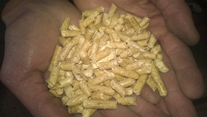 Куплю древесные пеллеты светлые(белые) DIN Plus грн.75