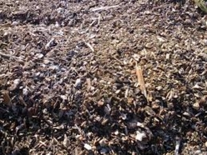 Куплю лузгу и мёртвый отход подсолнечника грн.0