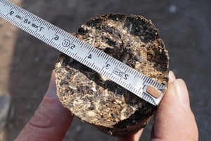 Топливный брикет из чистой лузги подсолнечника грн.1500