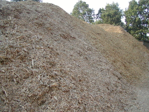 Продам щепу, бесплатная погрузка грн.180