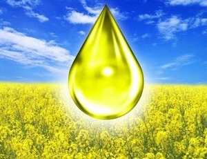 Масло рапсовое от производителя  грн.0