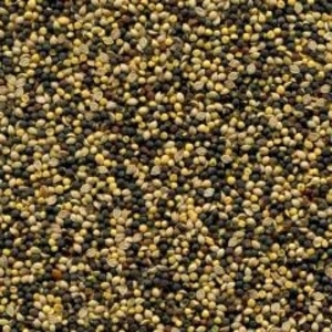 Куплю деловые отходы рапса  грн.