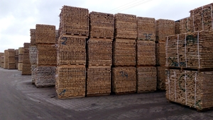 Купим дубовые обрезные заготовки 1-3 сорта  грн.