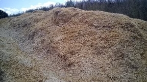 Тырса, постоянно в наличии, большое количество грн.1