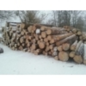 Дрова сосна, Боярка чи Тарасівка грн.2500