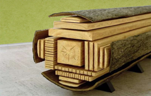 Стропильные системы: подступенька- сосна, бук, дуб грн.2200