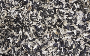 Куплю лузгу подсолнечника грн.1