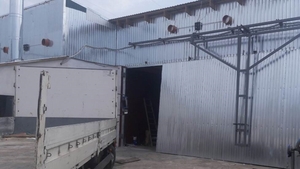 Услуги по сушке древесины грн.450