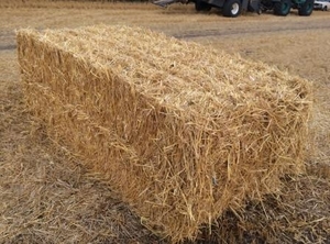 Солома урожай 2018 грн.1000