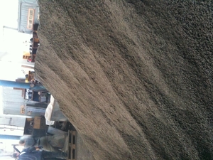 Продам гранулу из лузги подсолнечника грн.950