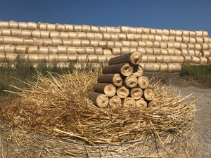 Продам брикеты Нестро из соломы грн.0