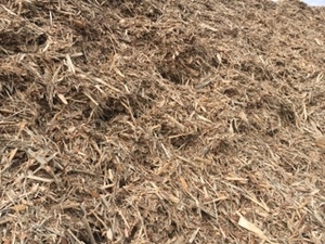 Сосновая кора оптом грн.250