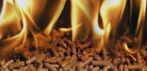 Пеллеты с лузги подсолнуха  грн.1900