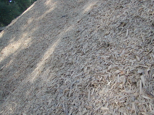 Производим щепу из сосны грн.180