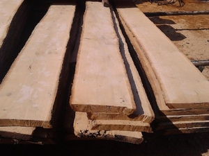 Продам доску ясеня грн.4999