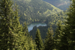 Пиломатериалы от производителя. Ель грн.0