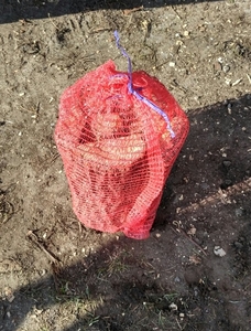 Продажа дров в сетках (дуб, фруктовые породы) грн.35