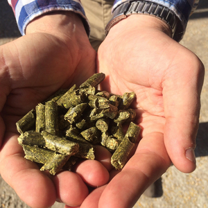 Пеллеты из сена люцерны грн.4300