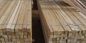 Столбы шпалерные для садов и виноградников грн.0