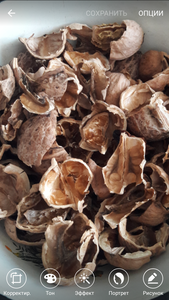 Скорлупа грецкого ореха по Украине грн.0