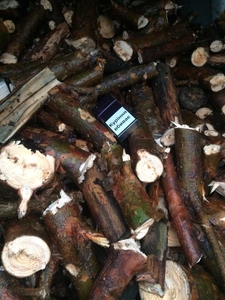 Топливная щепа сосна грн.250