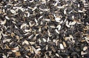 Куплю лузгу (шелуху) подсолнечника грн.0