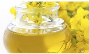 Сырое рафинированное рапсовое масло DIN 51605 грн.0