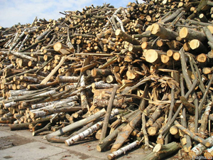 Продам дрова твердых пород  грн.2500