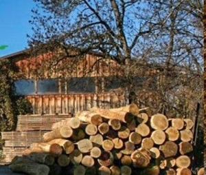 Ясень черный, PEFC  FFC продам грн.0