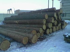 Продам кругляк сосни, 1м.куб. - 255грн. грн.0