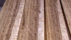 Продам натуральный шпон из дуба грн.