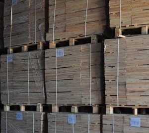 Продаю шпон лущеный из бука грн.0