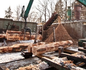 Шпон лущеный березовый из России продам грн.205