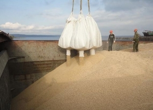 Предлагаем древесную пеллету EN Plus, A1- A2 грн.1