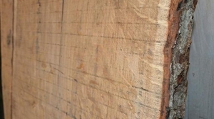 Необрезной пиломатериал насыпом, дуб грн.350