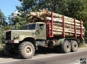 Закупка древесены в неограниченных количствах грн.800