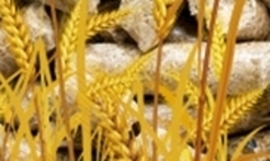 Продам пеллеты из соломы грн.1700