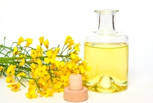 Закупаем рапсовое масло DIN 51605 грн.0