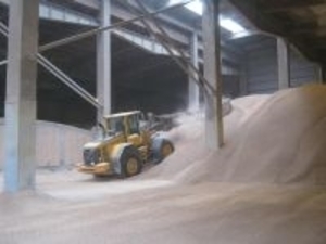 Закупаем пеллеты из лузги в больших объёмах круглый год грн.0