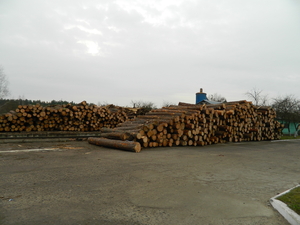 Продам дошку сосна обрізна і необрізна 1-3 сорт грн.