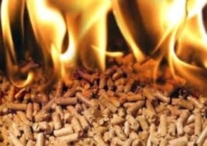 Пеллеты от производителя грн.4000